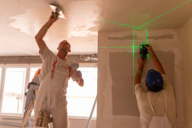 Best Drywall Removal and Disposal  in Silver Firs, WA